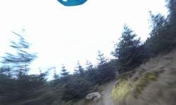 East Coast - Ballinastoe Expressway