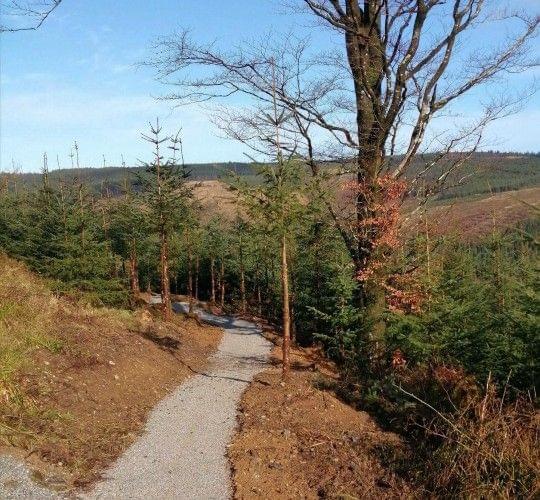 Slieve Bloom mountain biking trail