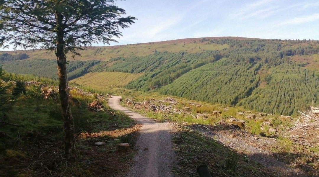 Stunning scenery in the Slieve Bloom hills